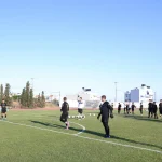 PALLI DIMITRA (9)
